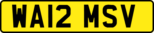 WA12MSV