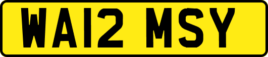 WA12MSY