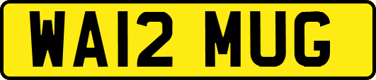 WA12MUG