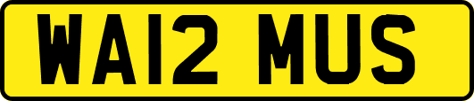 WA12MUS