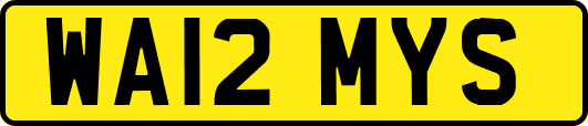 WA12MYS