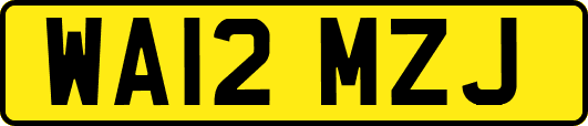 WA12MZJ