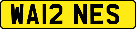 WA12NES