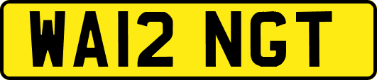 WA12NGT
