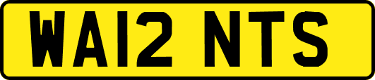 WA12NTS