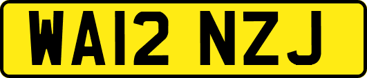 WA12NZJ
