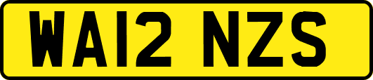 WA12NZS
