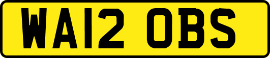 WA12OBS