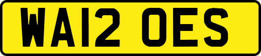 WA12OES