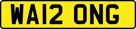 WA12ONG
