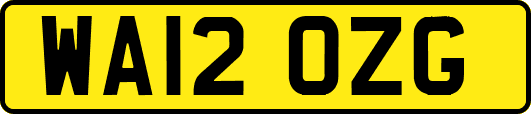 WA12OZG