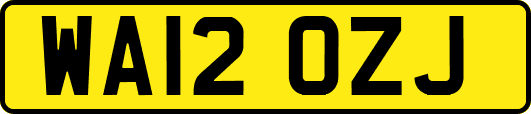 WA12OZJ