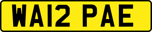 WA12PAE