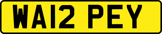 WA12PEY