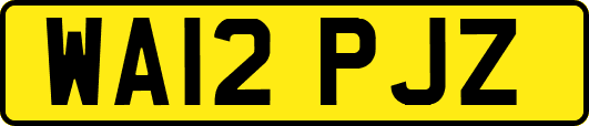WA12PJZ