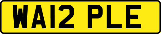 WA12PLE