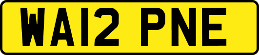 WA12PNE