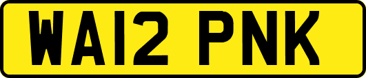 WA12PNK