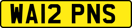 WA12PNS