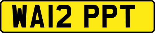 WA12PPT