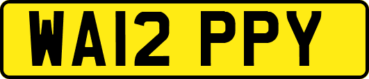 WA12PPY