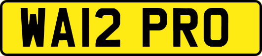 WA12PRO