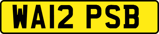 WA12PSB