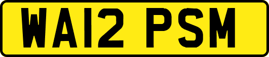 WA12PSM