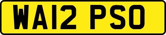 WA12PSO