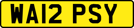 WA12PSY