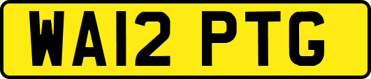 WA12PTG