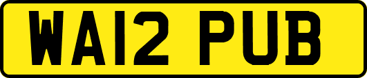 WA12PUB