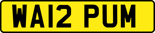 WA12PUM