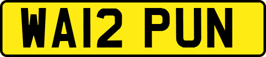 WA12PUN
