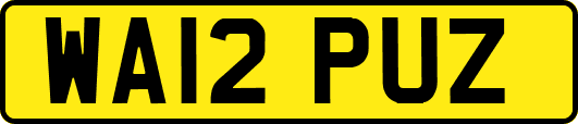 WA12PUZ