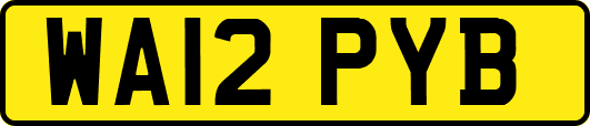 WA12PYB