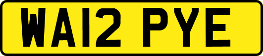 WA12PYE