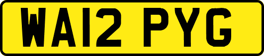WA12PYG