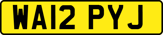 WA12PYJ