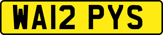 WA12PYS
