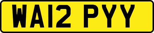 WA12PYY