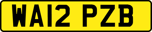 WA12PZB