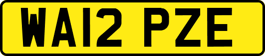 WA12PZE