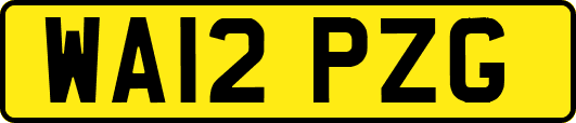 WA12PZG