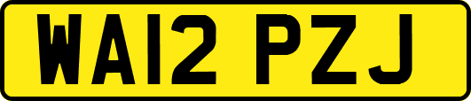 WA12PZJ