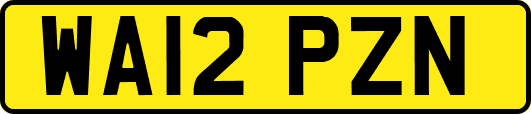 WA12PZN