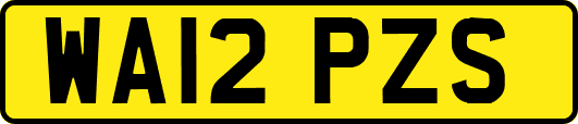WA12PZS