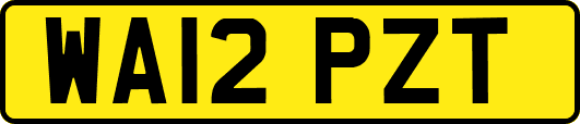 WA12PZT