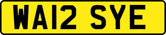WA12SYE