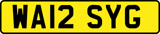 WA12SYG